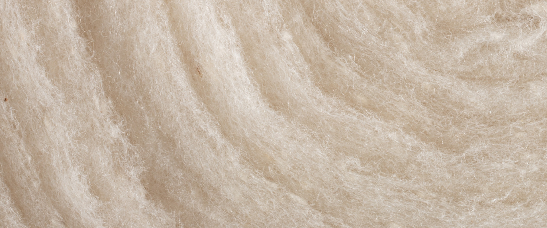 Lyocell_kapok_Tavola disegno 1.jpg Lyocell_kapok_Tavola disegno 1.jpg