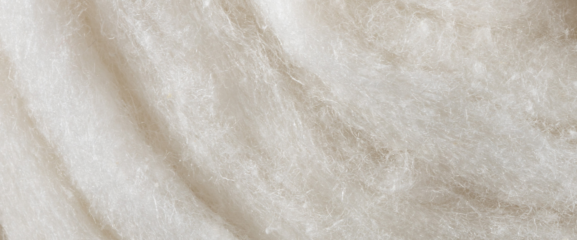 nativa desk_Tavola disegno 1.jpg