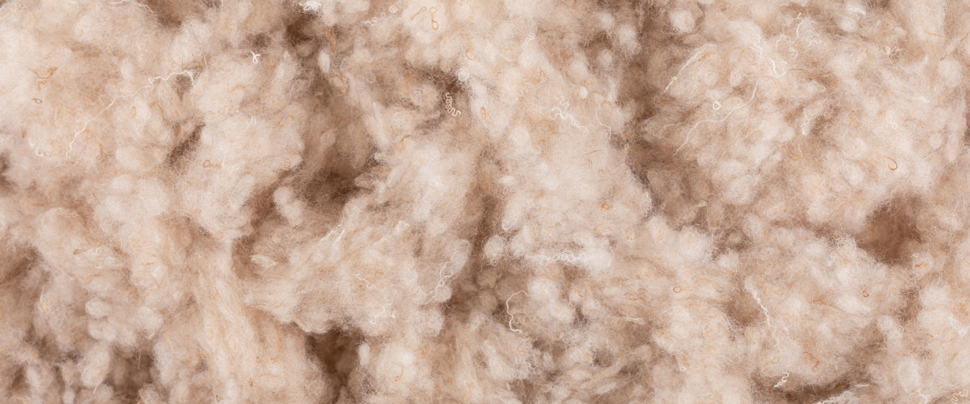 teddy ball_desk_Tavola disegno 1.jpg teddy ball_desk_Tavola disegno 1.jpg