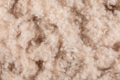 teddy balls_card _Tavola disegno 1.jpg