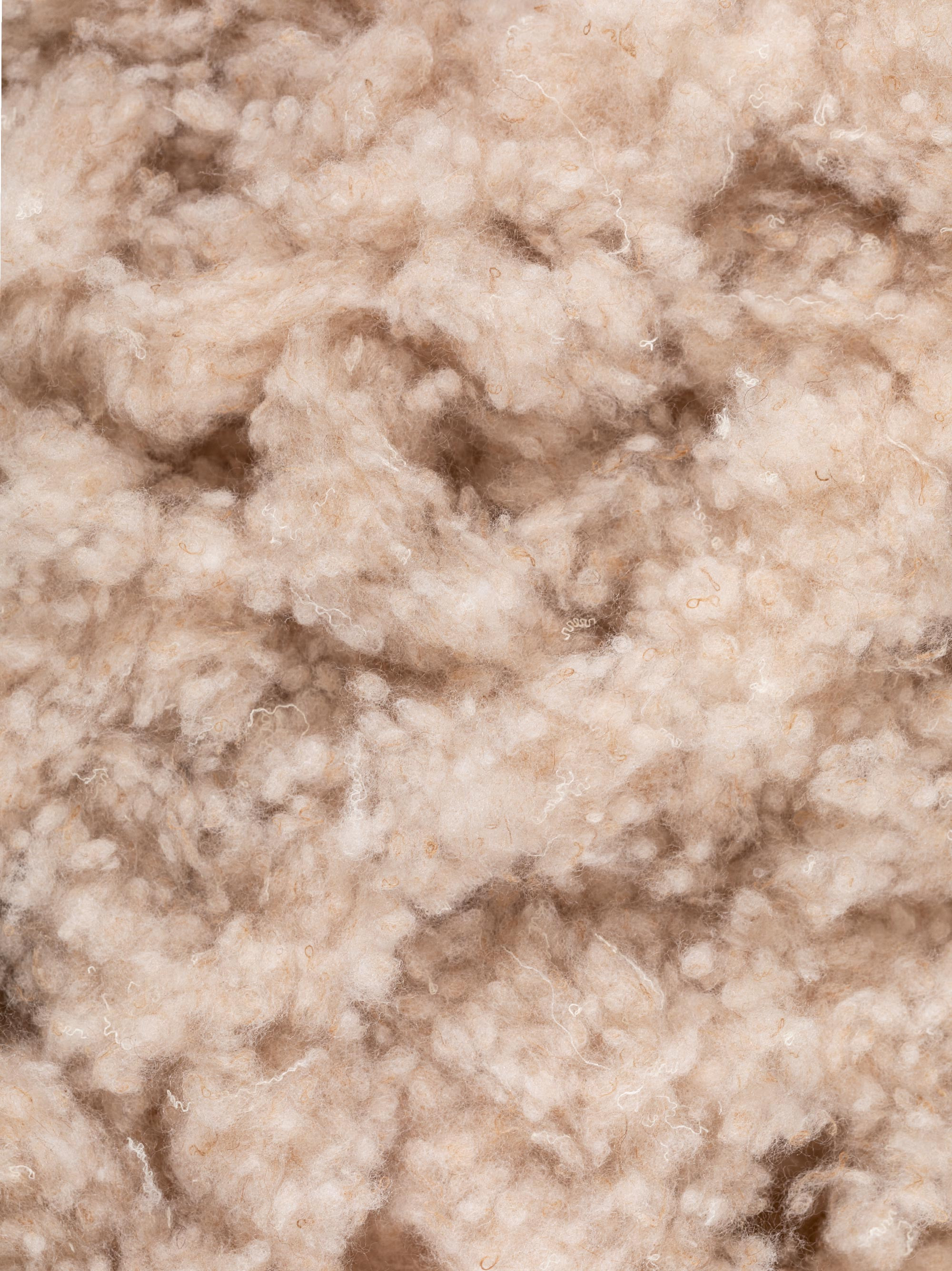 teddy_immagine principale_Tavola disegno 1.jpg teddy_immagine principale_Tavola disegno 1.jpg