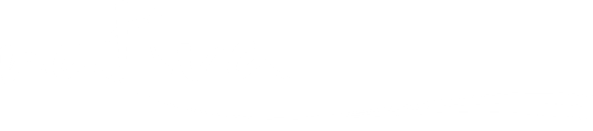 nativa silkballs-white.png